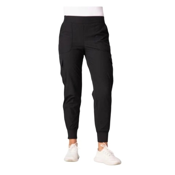 Free Country Pants - Free Country NWT Get Out There Hiking Jogger Pants Black Cargo Fleece Lined L